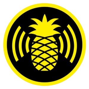 292-2923637_wifi-pineapple-connector-pineapple-wifi-removebg-preview